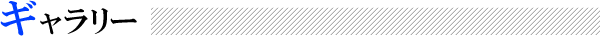 ギャラリー